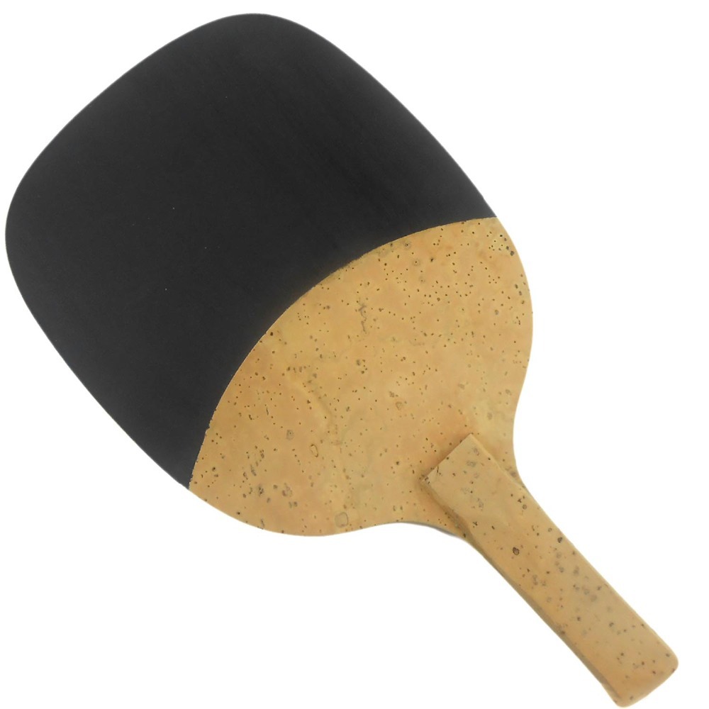 PALIO 8603 carbone titane lame - Table Tennis Review avis et prix